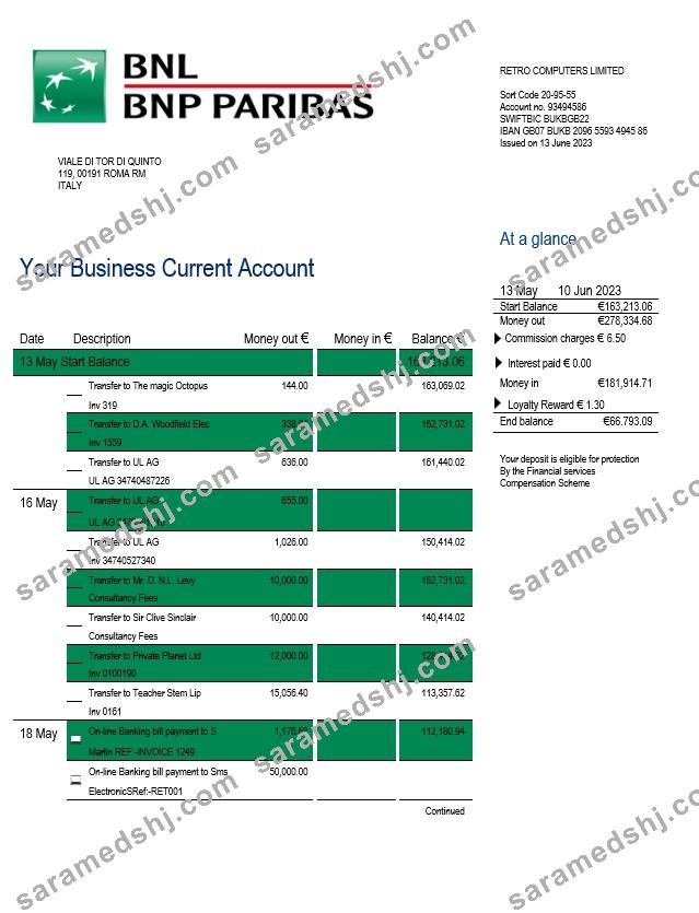 BNL Bank enterprise statement Word and PDF template
